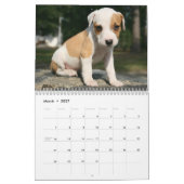 Puppies agenda kalender (Mar 2027)