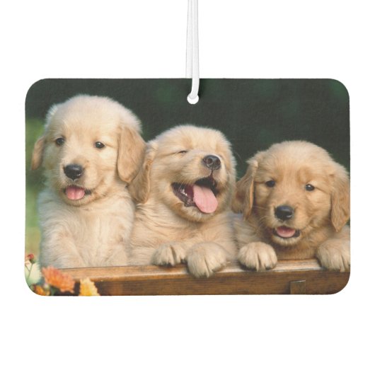 Puppies Air Freshener Luchtverfrisser (Voorkant)