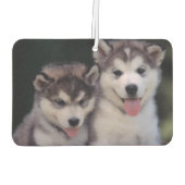 Puppies Air Freshener Luchtverfrisser (Achterkant)