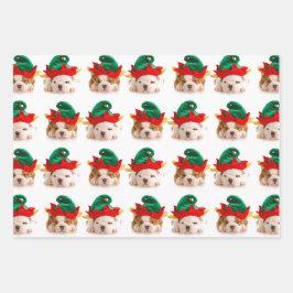 PUPPIES ALS CHRISTMAS WRAPPING FLAT SHEET REEKS VA INPAKPAPIER VEL
