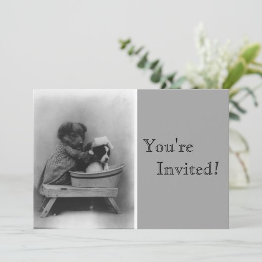  Puppies Bath Birthday Kaart (Staand voorkant)