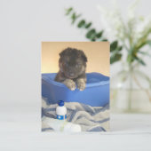 Puppies Bath Time Briefkaart (Staand voorkant)