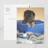 Puppies Bath Time Briefkaart (Voorkant / Achterkant)
