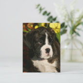 Puppies Briefkaart (Staand voorkant)