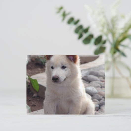 Puppies Briefkaart (Staand voorkant)