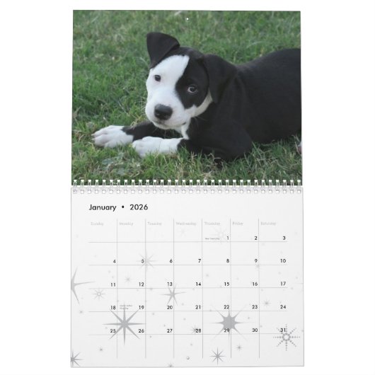 puppies Calender 2009 Kalender (Jan 2026)