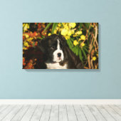 Puppies Canvas Afdruk (Insitu (Houten vloer))