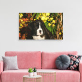 Puppies Canvas Afdruk (Insitu (Woonkamer))