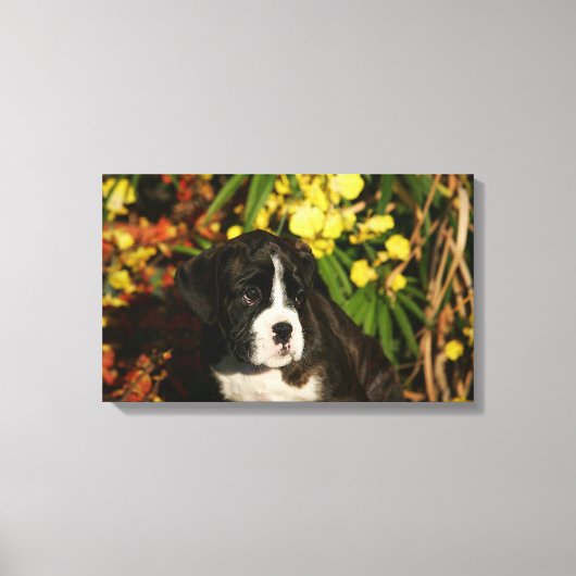 Puppies Canvas Afdruk (Voorkant)