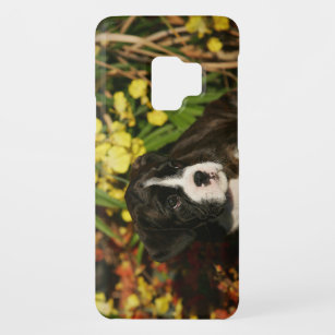 Puppies Case-Mate Samsung Galaxy S9 Hoesje