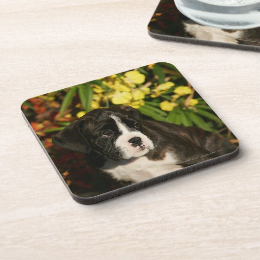 Puppies Drankjes Onderzetter (Linkerzijde)