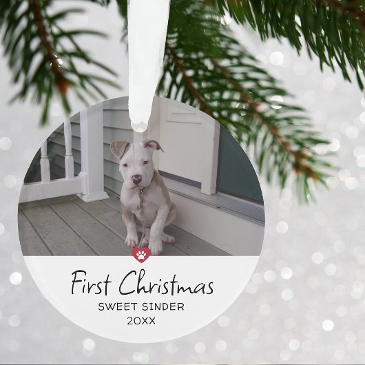Puppies eerste kerstfoto ornament