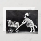  Puppies en Briefkaart Kittens (Voorkant / Achterkant)