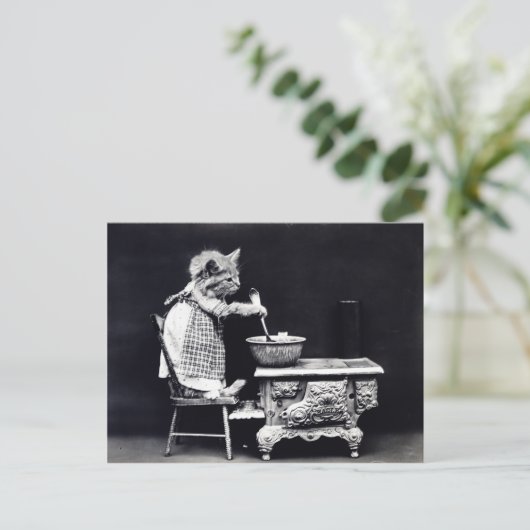  Puppies en Briefkaart Kittens (Staand voorkant)