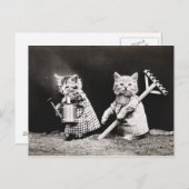  Puppies en Briefkaart Kittens (Voorkant / Achterkant)