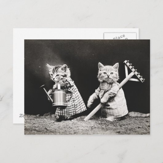  Puppies en Briefkaart Kittens (Voorkant / Achterkant)