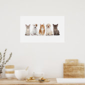 Puppies en Kittens - Poster - srf (Keuken)