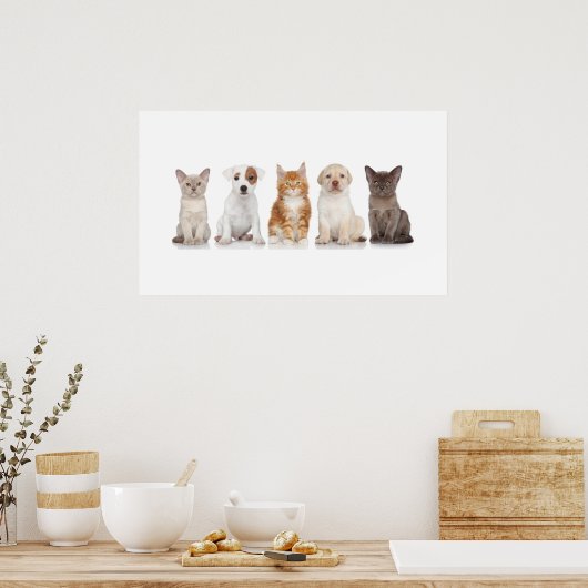 Puppies en Kittens - Poster - srf (Keuken)