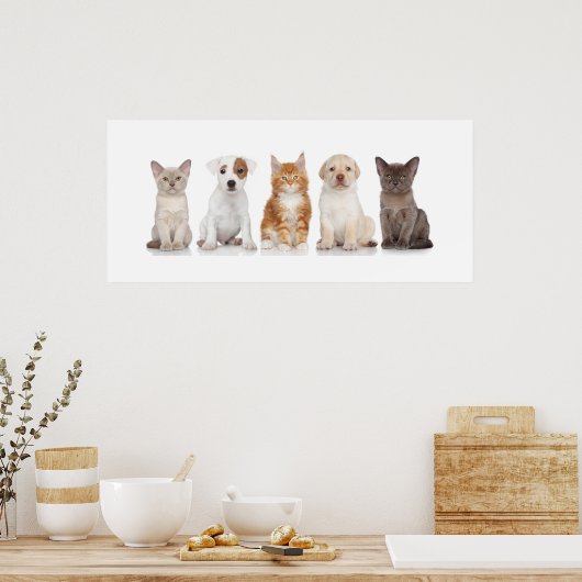 Puppies en Kittens - Poster - srf (Keuken)