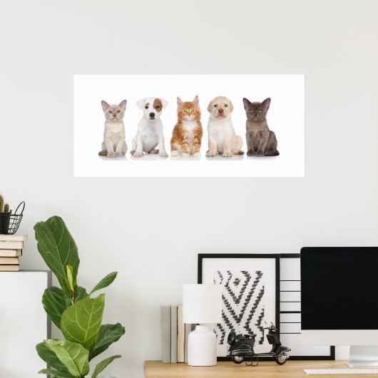 Puppies en Kittens - Poster - srf (Thuiskantoor)