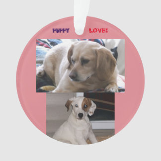 Puppies en sis ornament