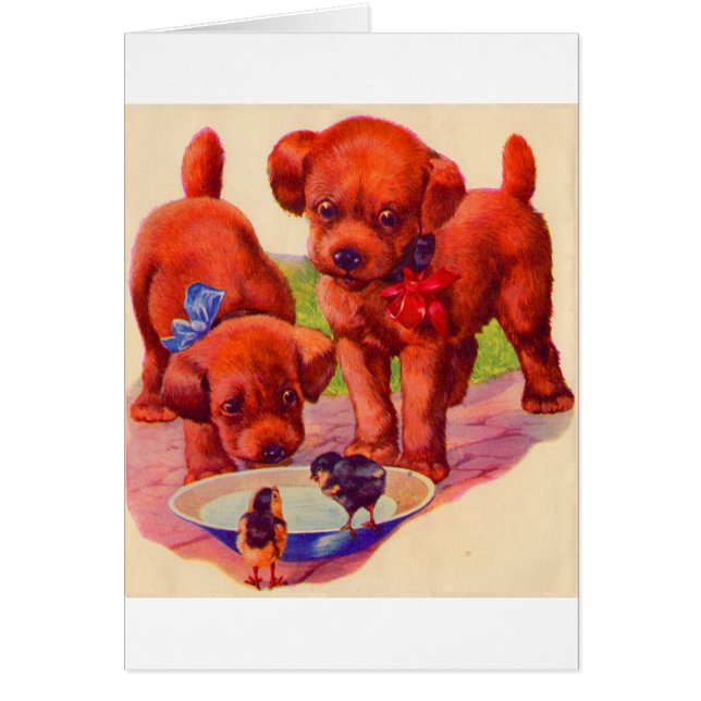 puppies en vogels uit de jaren '30 (Voorkant)