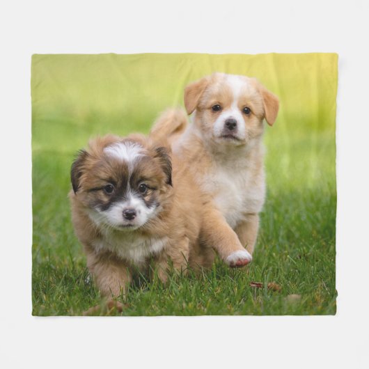 Puppies Fleece Deken (Voorkant (Horizontaal))