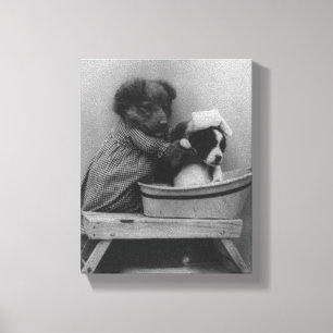  Puppies   Grappige hond bad foto Canvas Afdruk