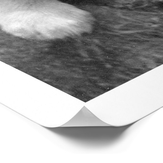 Puppies in Alaska 1921 Poster (Hoek)