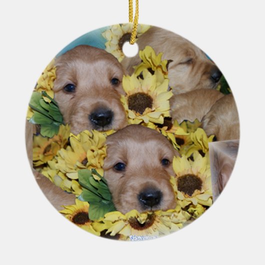 Puppies in de kerstversiering Flowers Keramisch Ornament (Voorkant)