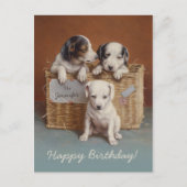 Puppies in een mandje CC0686 Carl Reichert Birthda Briefkaart (Voorkant)