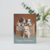 Puppies in een mandje CC0686 Carl Reichert Birthda Briefkaart (Staand voorkant)