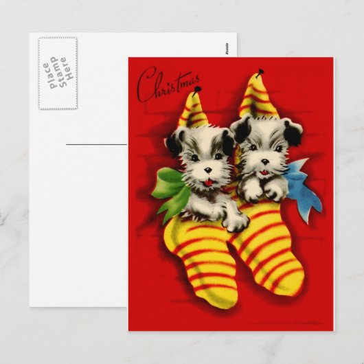 Puppies in Kousen Feestdagenkaart (Voorkant / Achterkant)