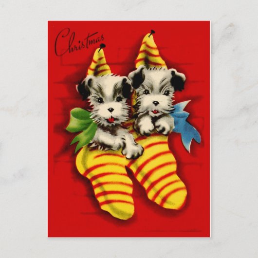 Puppies in Kousen Feestdagenkaart (Voorkant)