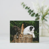 Puppies in mandje briefkaart (Staand voorkant)