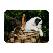 Puppies in mandje magneet (Horizontaal)