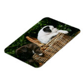 Puppies in mandje magneet (Linkerzijde)