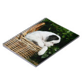 Puppies in mandje notitieboek (Linkerzijde)