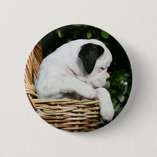 Puppies in mandje ronde button 5,7 cm (Voorkant)