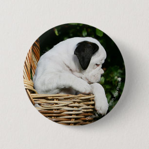 Puppies in mandje ronde button 5,7 cm