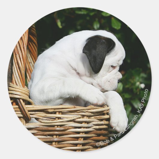 Puppies in mandje ronde sticker (Voorkant)