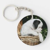 Puppies in mandje sleutelhanger (Voorkant)