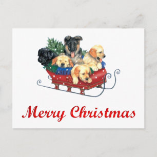 PUPPIES IN SLEE MET BOOM VOOR KERST BRIEFKAART