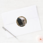 Puppies in zwart-wit ronde sticker (Envelop)