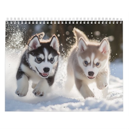 Puppies Kalender (Hoes)
