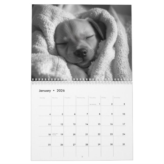 Puppies Kalender (Jan 2026)