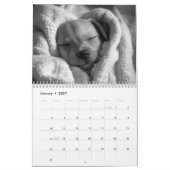 Puppies Kalender (Jan 2027)