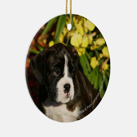 Puppies Keramisch Ornament (Rechts)