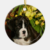 Puppies Keramisch Ornament (Voorkant)