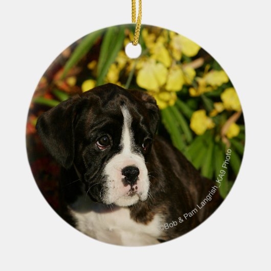 Puppies Keramisch Ornament (Voorkant)